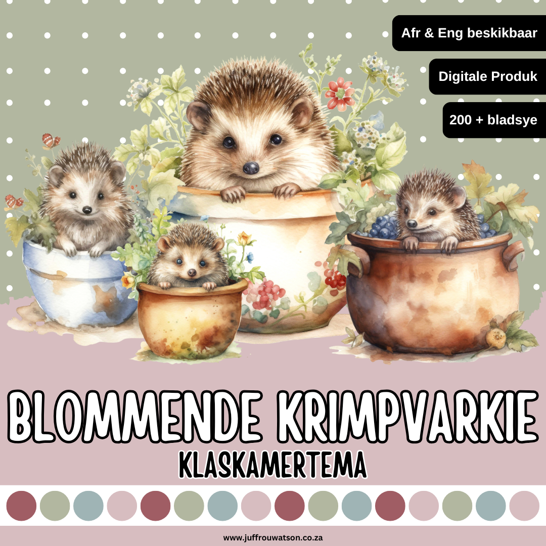 Floral Hedgehog Classroom Theme | Blommende Krimpvarkie Klaskamertema