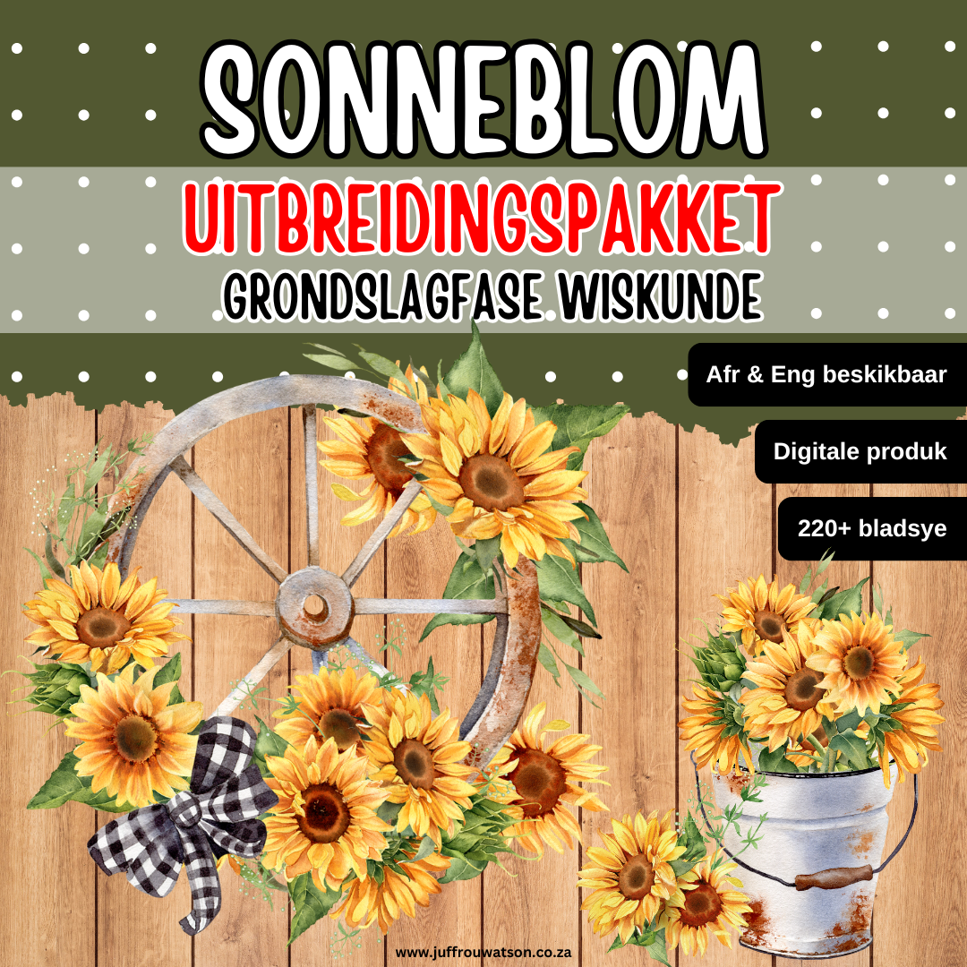 Sunflower Foundation Phase Math Expansion Pack | Sonneblom Grondslagfase Wiskunde Pakket