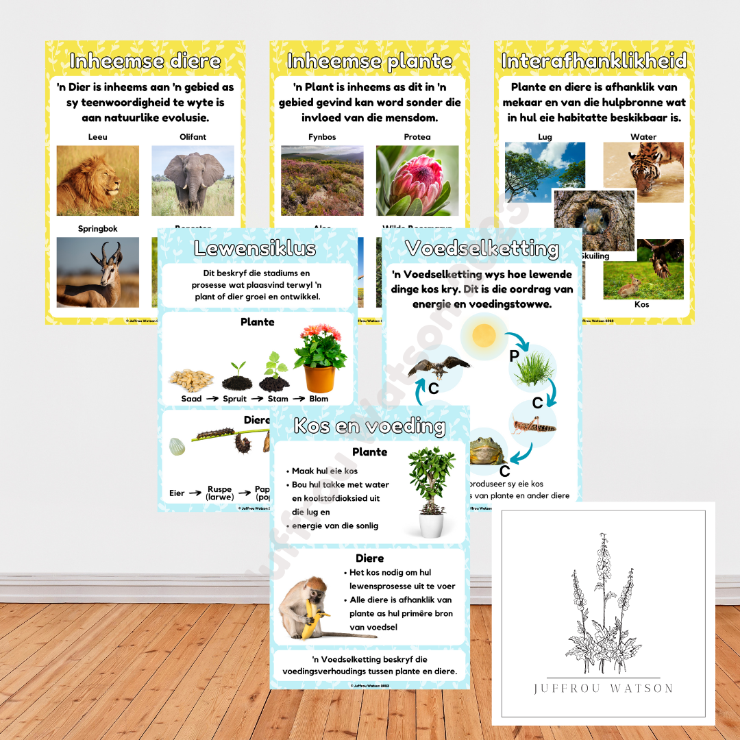 Gr5 NST Term 1 Posters | Gr5 NWT Kwartaal 1 Plakkate
