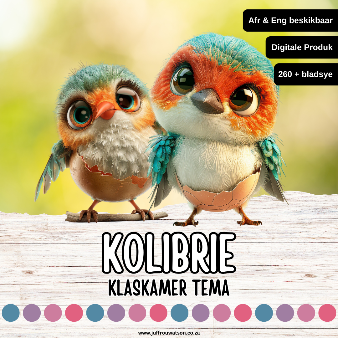 Hummingbird Classroom Theme | Kolibrie Klaskamertema