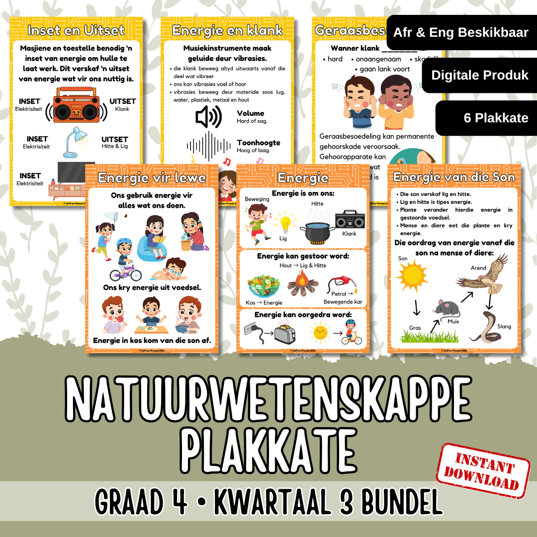 Gr4 NST Year Bundle Posters | Gr4 NWT Jaarbundel Plakkate