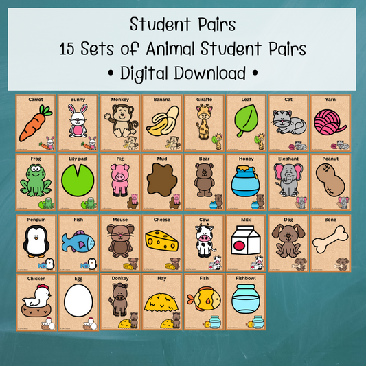 Up to 30 Students: Animals Pairs