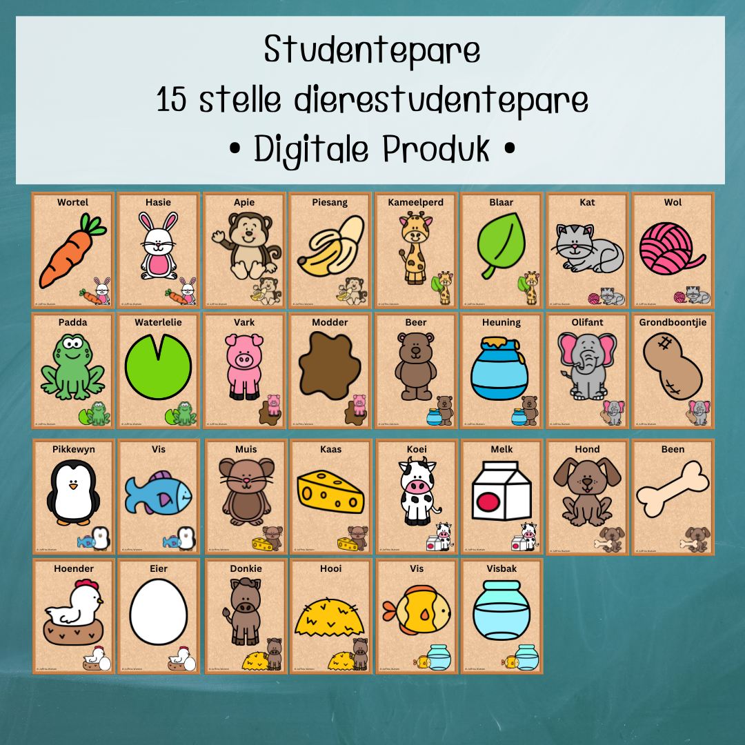 Up to 30 Students: Animals Pairs