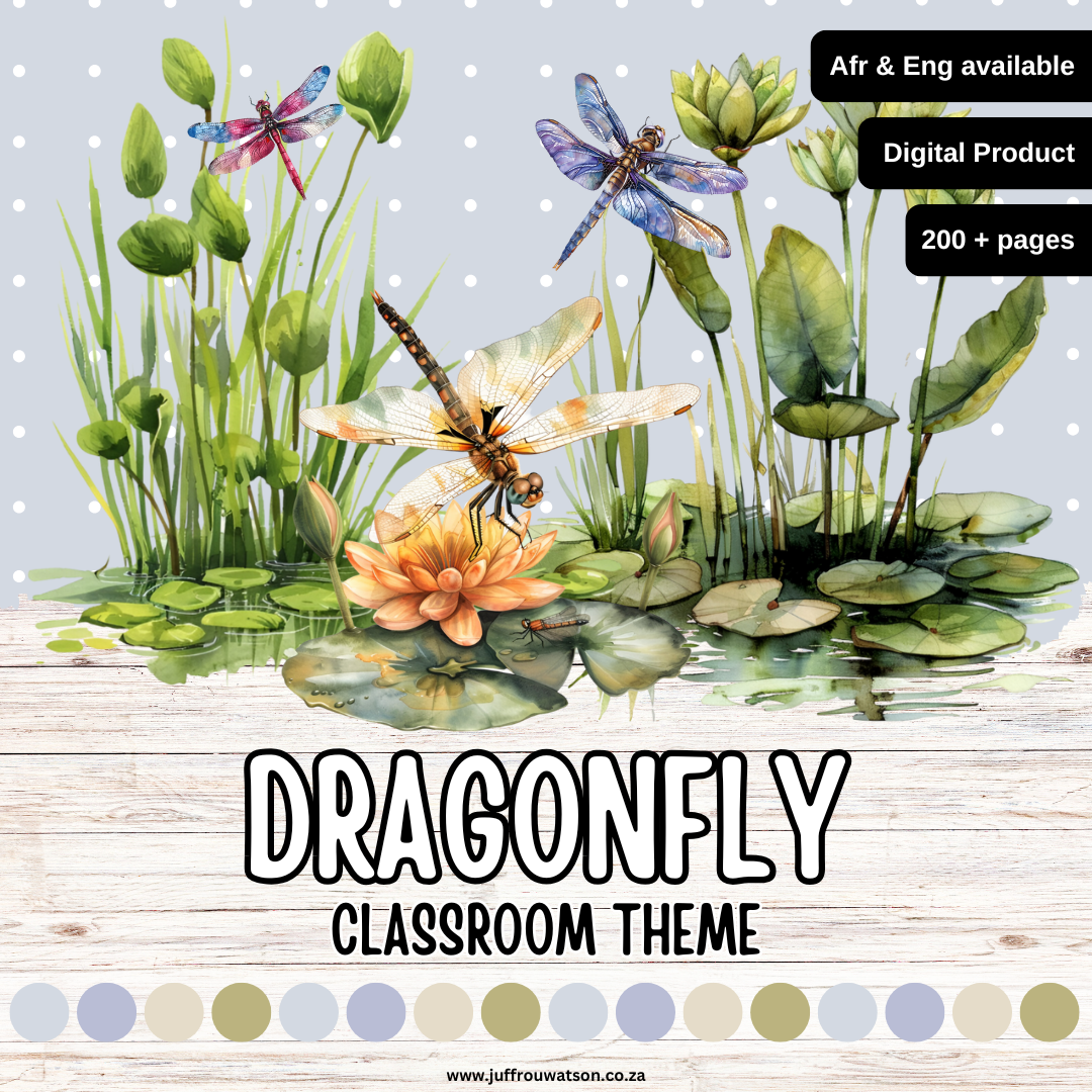 Dragonfly Classroom Theme | Naaldekoker Klaskamertema