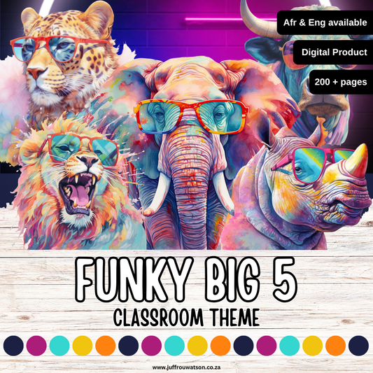 Funky Big 5 Classroom Theme | Funky Groot 5 Klaskamertema