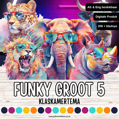 Funky Big 5 Classroom Theme | Funky Groot 5 Klaskamertema