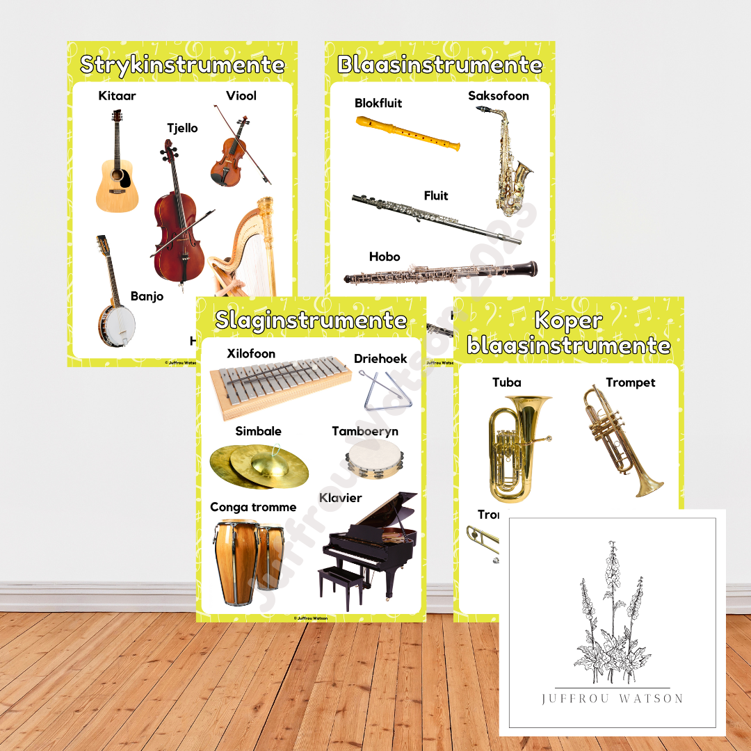 Music Instruments | Musiekinstrumente