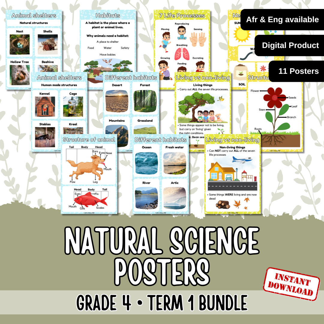 Gr4 NST Term 1 Posters | Gr4 NWT Kwartaal 1 Plakkate