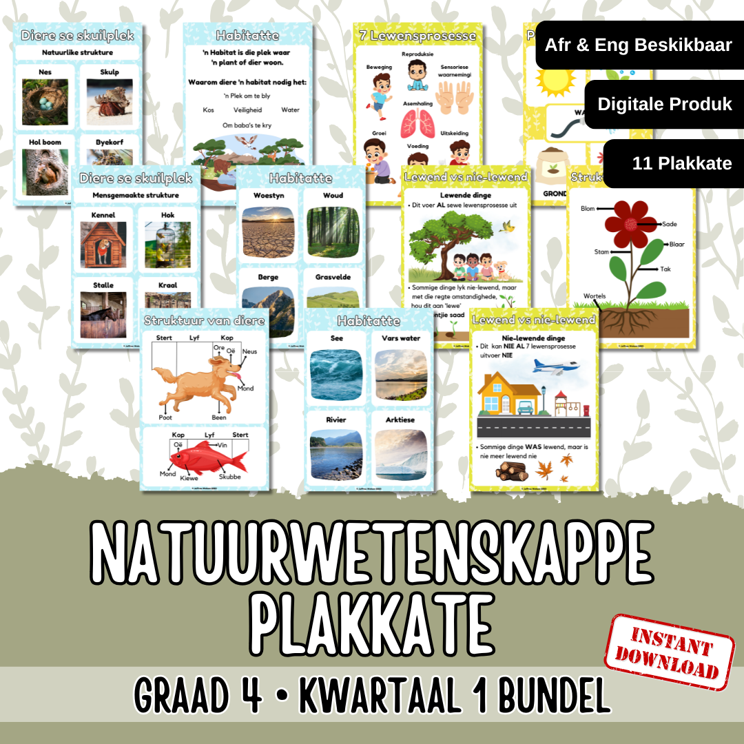 Gr4 NST Term 1 Posters | Gr4 NWT Kwartaal 1 Plakkate