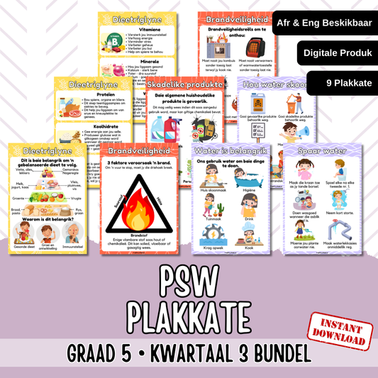 Gr5 PSW Term 3 Posters | Gr5 Kwartaal 3 Plakkate