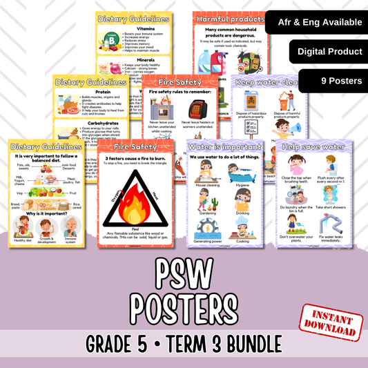 Gr5 PSW Term 3 Posters | Gr5 Kwartaal 3 Plakkate