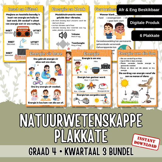 Gr4 NST Term 3 Posters | Gr4 NWT Kwartaal 3 Plakkate