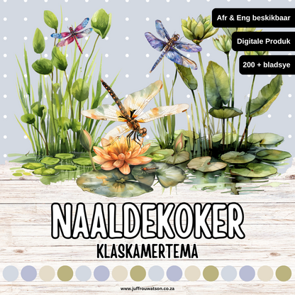 Dragonfly Classroom Theme | Naaldekoker Klaskamertema