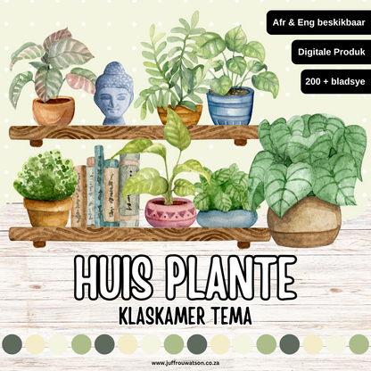 House Plants Classroom Theme | Huisplante Klaskamertema